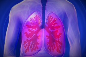 Ist Lungenkrebs heilbar - gesunde Ernaehrung mit Rohkost froh-leben