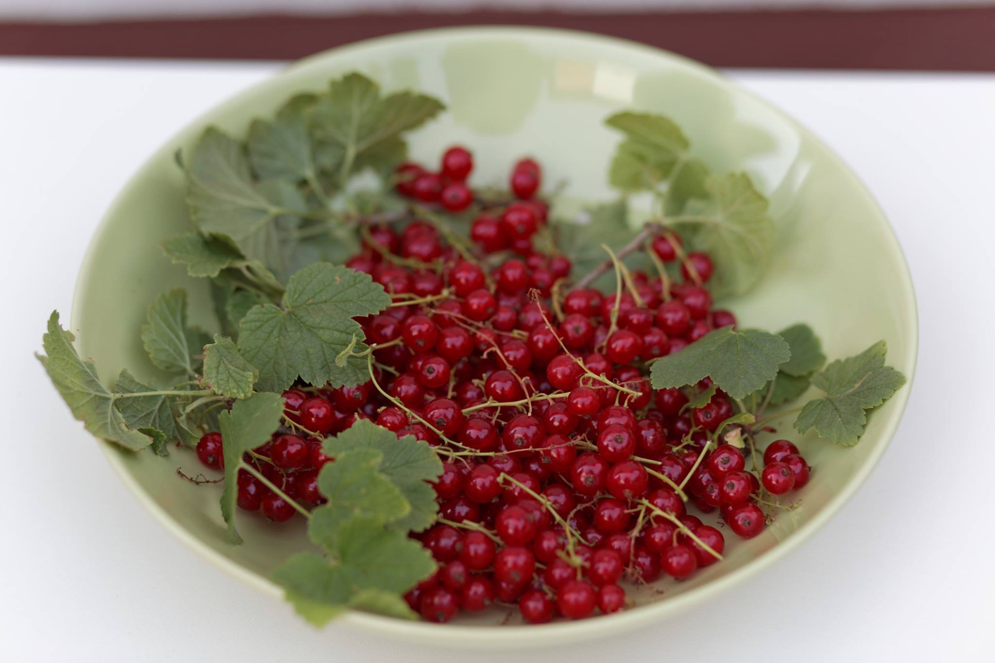 Johannisbeeren froh-leben Gourmet-Abend Ipanema