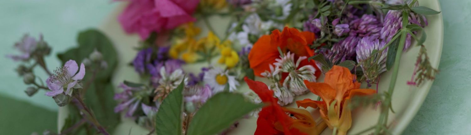 Wildkraeuterteller froh-leben Gourmet-Abend Ipanema