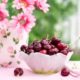 Fit und vital in den Tag - das gesunde Rohkostfruehstueck - froh-leben