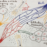 System der Grundregulation_Pischinger Raum_Bindegewebe_froh leben_Impulsvortrag_Mittendrin_Pirmasens