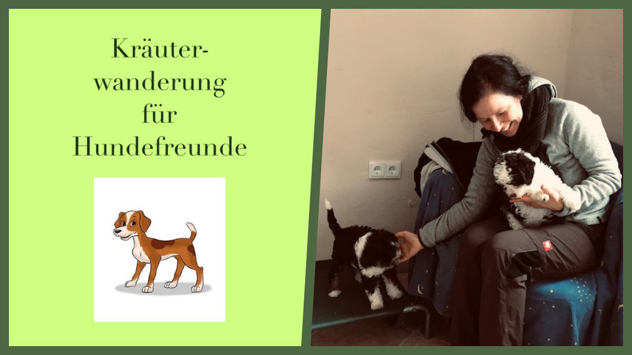 Kraeuterwanderung Hundefreunde Hundeheilpraktikerin Anja Wagner Katja Friedrich froh leben